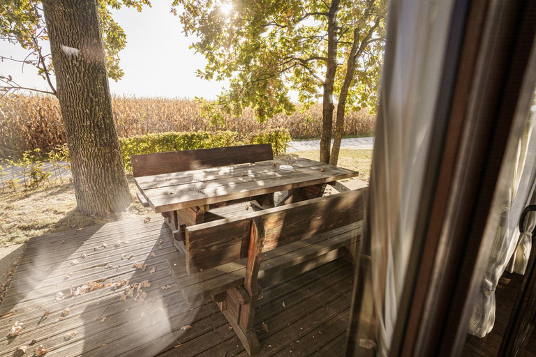 Others 4, Panonska Vas Villas, Moravske Toplice