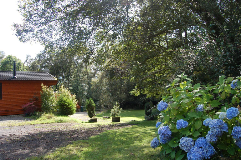 Others 4, Luxury woodland Oak Lodge, Stirling