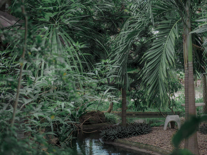 Others 3, Ruean Prathum Resort , Mueang Kamphaeng Phet