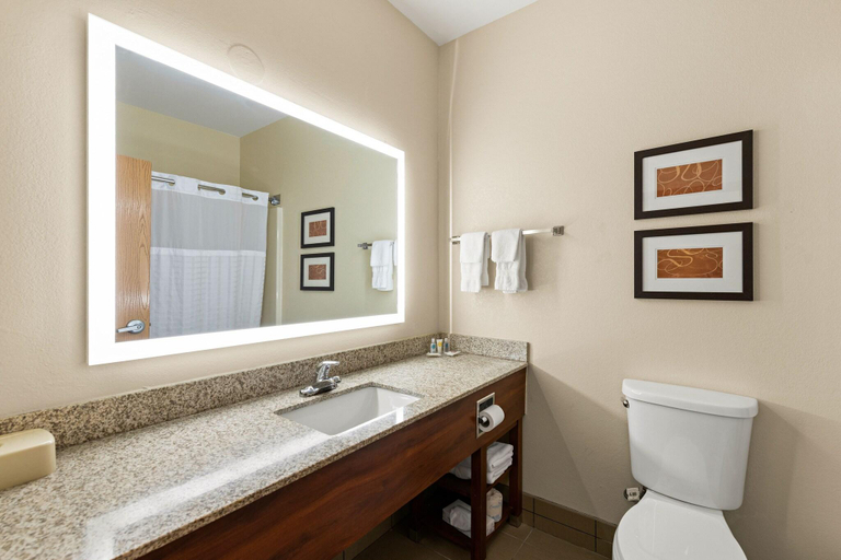 Bedroom 3, Comfort Suites Kansas City-Liberty, Kansas City