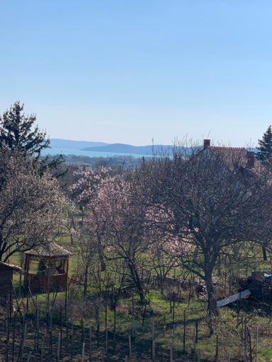 Others 5, Haus Kristina, Balatonfüred