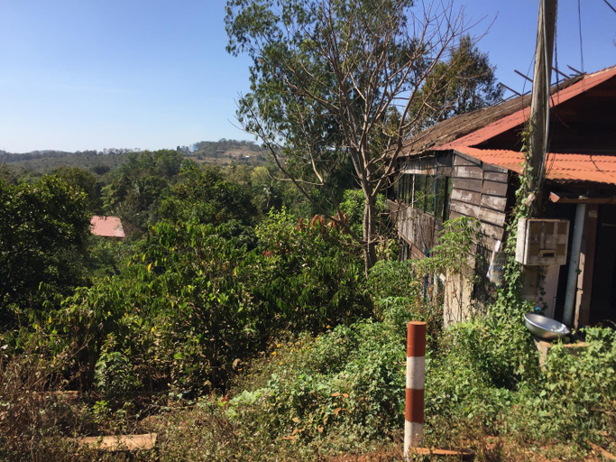 Others 4, Tree Lodge, Saen Monourom