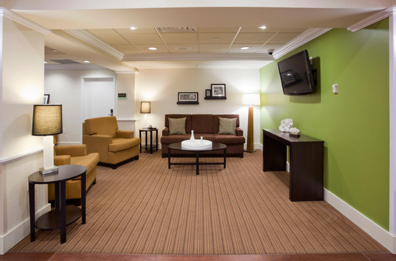 Public Area 5, Holiday Inn Express & Suites ROGERS, Hennepin