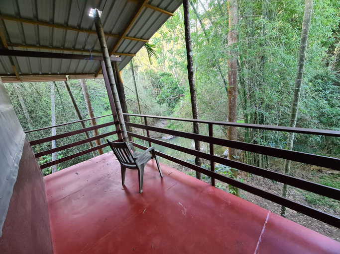 Others 5, Deep Jungle Home, The Nilgiris