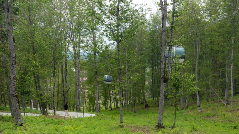 Others 5, Bakuriani, Crystal Resort Block C, 429, Borjomi