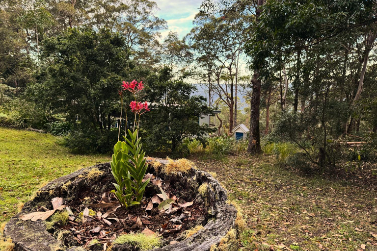 Others 4, Heaven in the Hills Retreat, Caloundra - Hinterland
