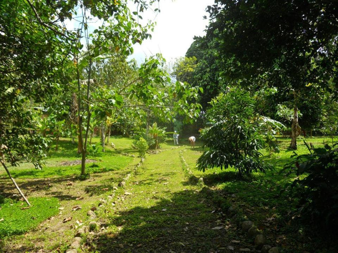 Others 4, CAMPOWASI Hostel, Lamas