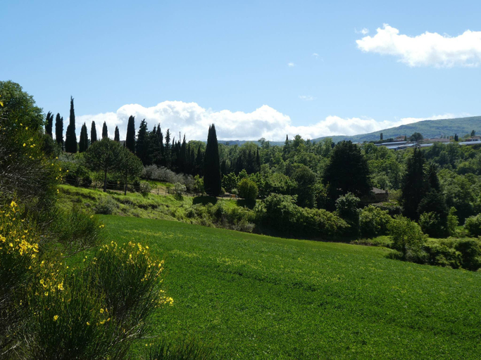 Others 2, Panoramic Farmvilla In Tuscany, Siena
