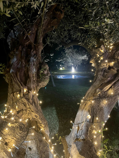 Others 5, Villa Acquabella, Chieti
