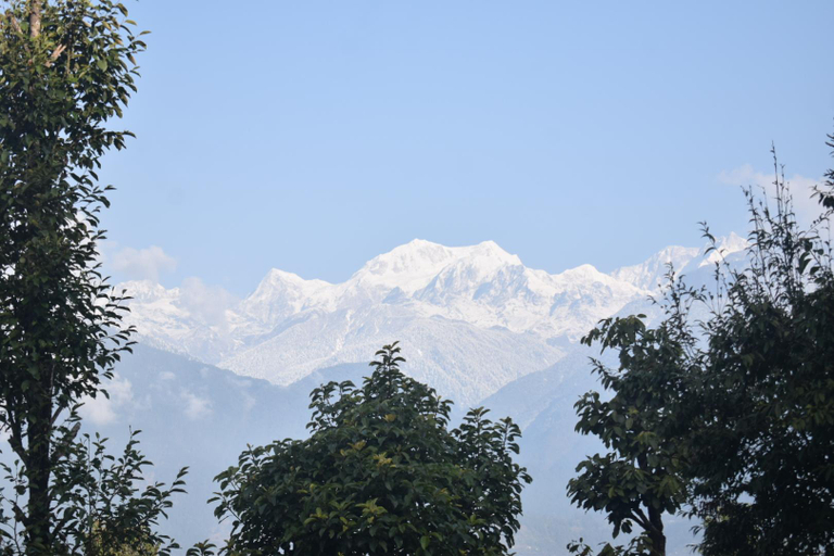 Others 4, Mandavya homestay, West Sikkim