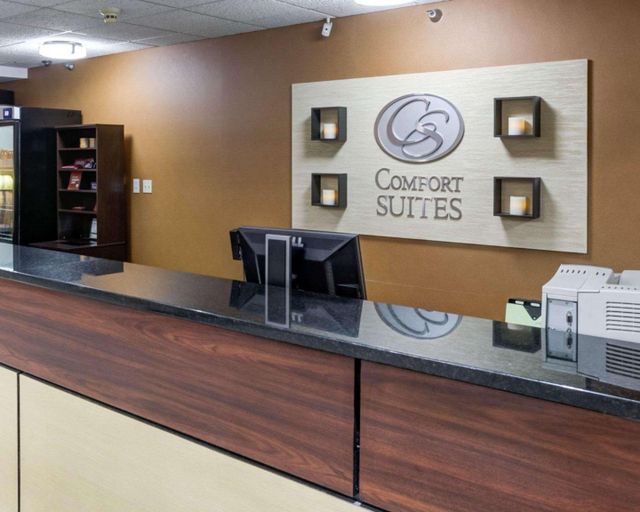 Public Area 2, Comfort Suites Kansas City-Liberty, Kansas City