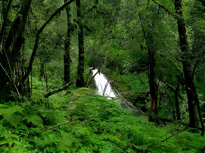 Others 5, Boon Inn, Palakkad