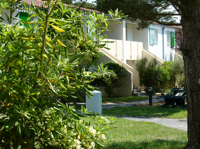 Exterior & Views 4, Vvf Villages Ars En Re, Charente-Maritime