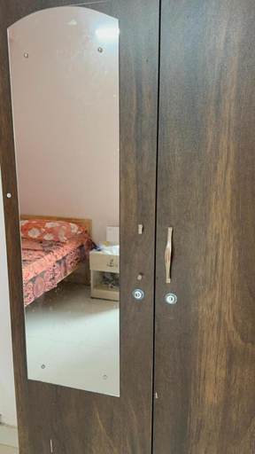 Others 3, SATYAS LADIES LUXURY Inn, Bangalore