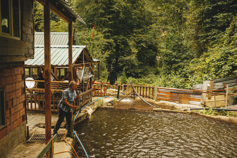 Exterior 2, Deremezra Tatil Köyü, Ardeşen