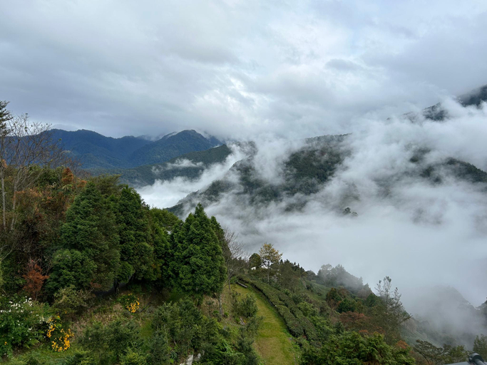 Others 2, Zizaiju Forest Homestay, Hsinchu County