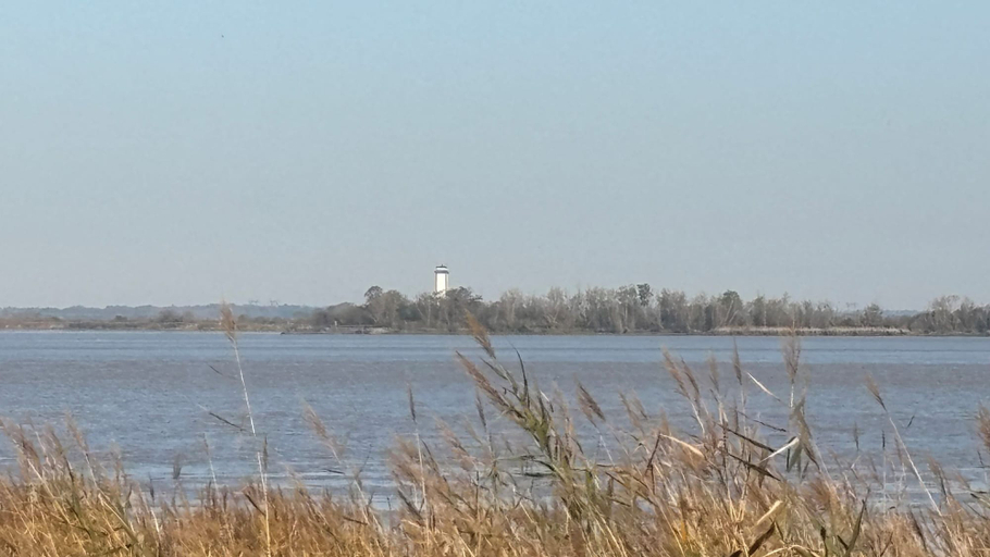 Land view from property, Chez Christophe Pauillac, Gironde