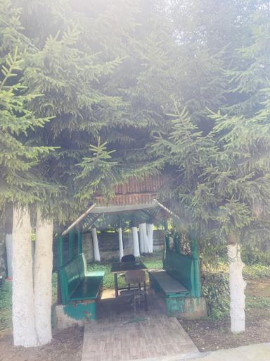 Others 4, Elis sweet home, Batumi