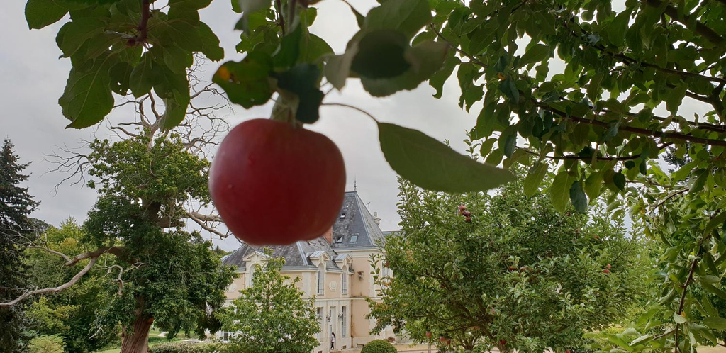 Others 4, Chateau d'Ardree, Indre-et-Loire