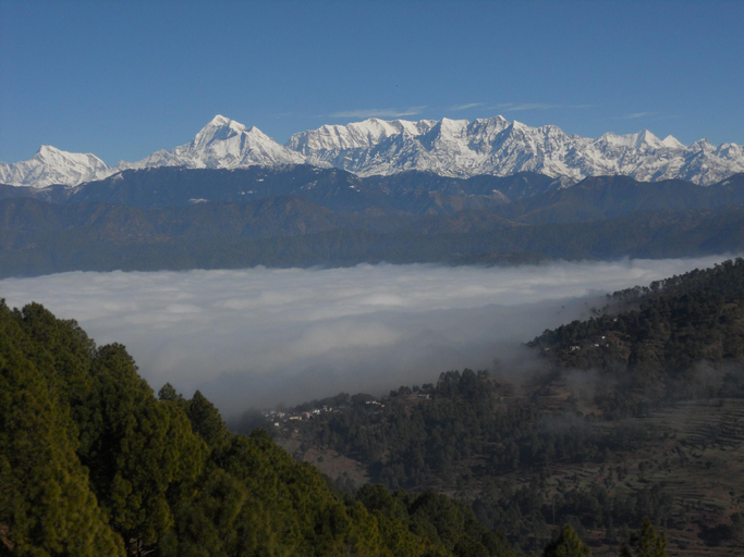 Others 3, Natures Valley Resort, Bageshwar