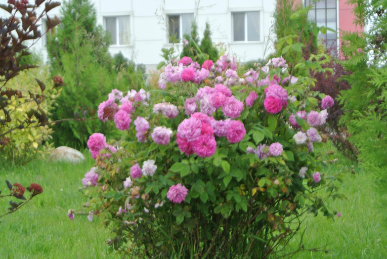 Others 5, Yaroslavskoe Podvorye Hotel, Yaroslavskiy rayon