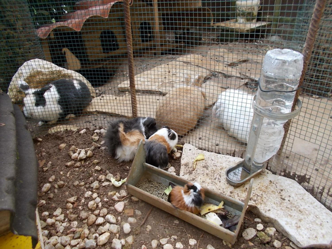 Others 3, B&B Il Giardino Acquatico, L'Aquila
