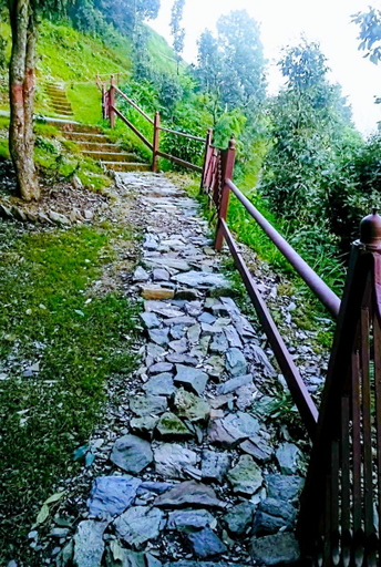 Others 2, Cuckoo Cottages Pangot, Nainital