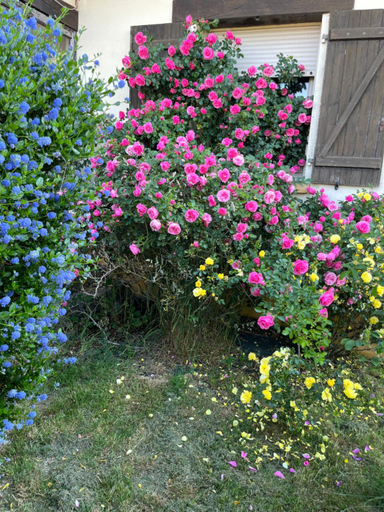 Others 2, Les Mottes, Orne