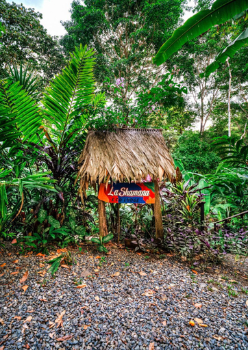 Public Area, La Shamana Ecological, Concept in the Jungle, Talamanca
