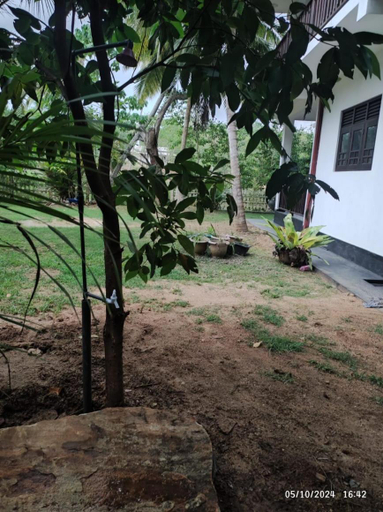 Others 4, The Lake View Tangalle, Tangalle