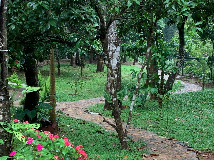 Others 4, Cuppa Creek Homestay, Kodagu