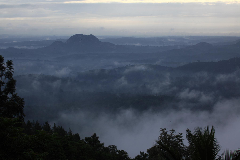 Others 5, Cybele Hill Resort, Wayanad