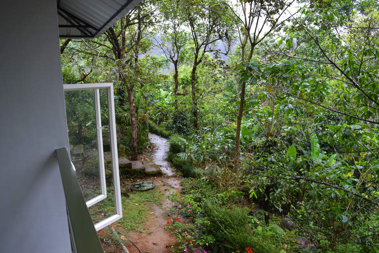 Others 5, Solitude Munnar, Idukki