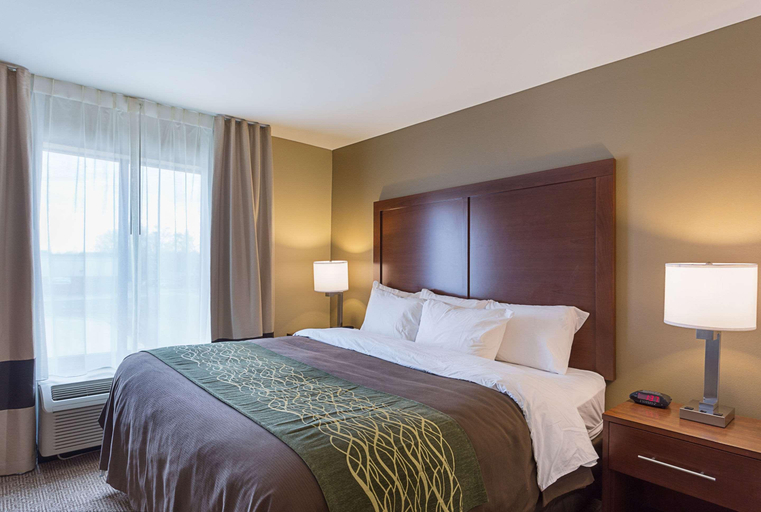 Bedroom 3, Comfort Inn & Suites Zachary, East Baton Rouge