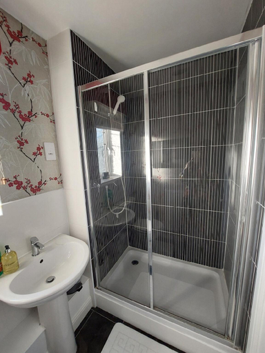 Others 4, Spacious 4 Bed house with parking and garden at Reading, Reading