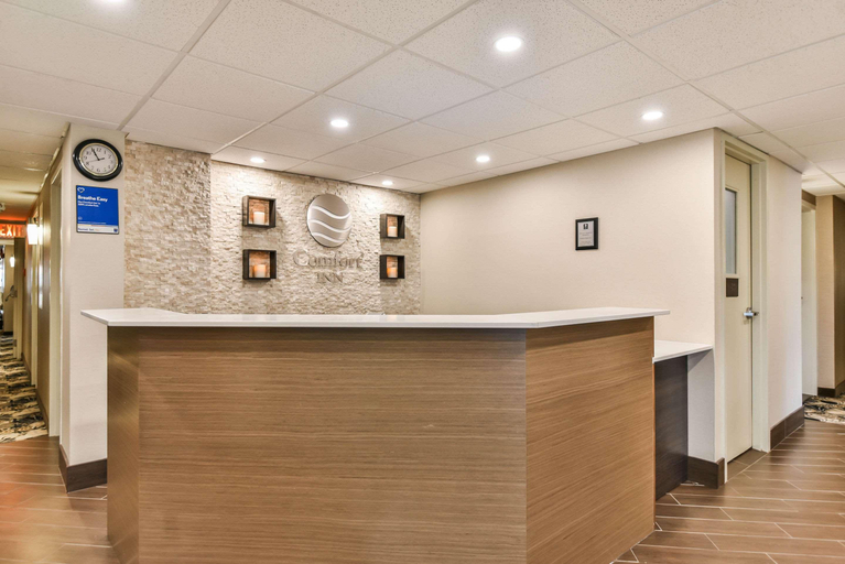 Public Area 2, Comfort Inn Windsor, Essex