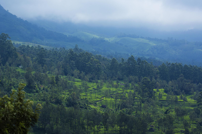 Others 2, Mount View Munnar, Idukki