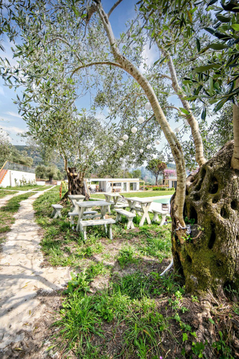 Others 2, Kumquart estate- Kumquat, Ionian Islands