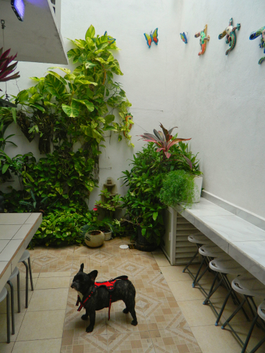 Others 3, Casa Laurel, Isla Mujeres