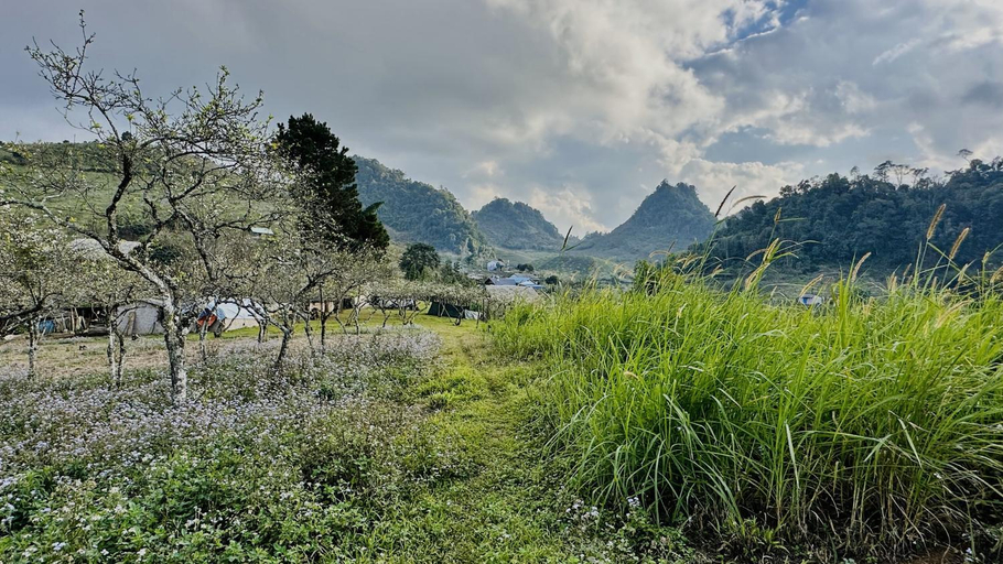 Others 4, Ho May Garden Retreat - Moc Chau, Mộc Châu
