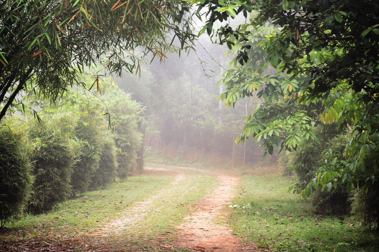 Others 3, 3 Hills County Resort Wayanad, Wayanad