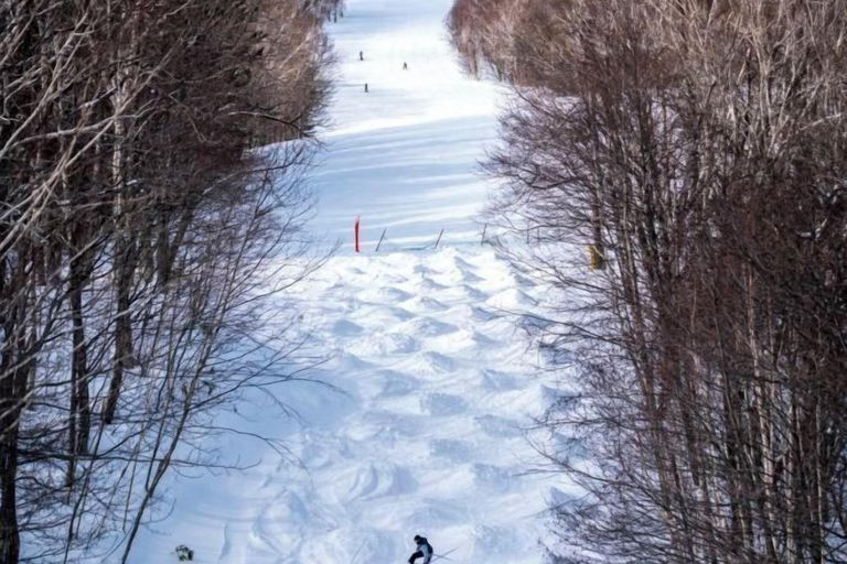 Snow and ski sports 4, Club Med Sahoro Hokkaido, Shintoku
