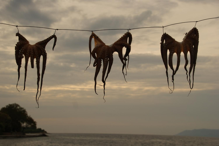 Others 5, Cavo Christo, North Aegean