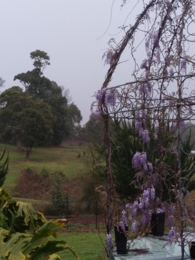 Others 5, Green Acres B&B, Tamborine Mountain