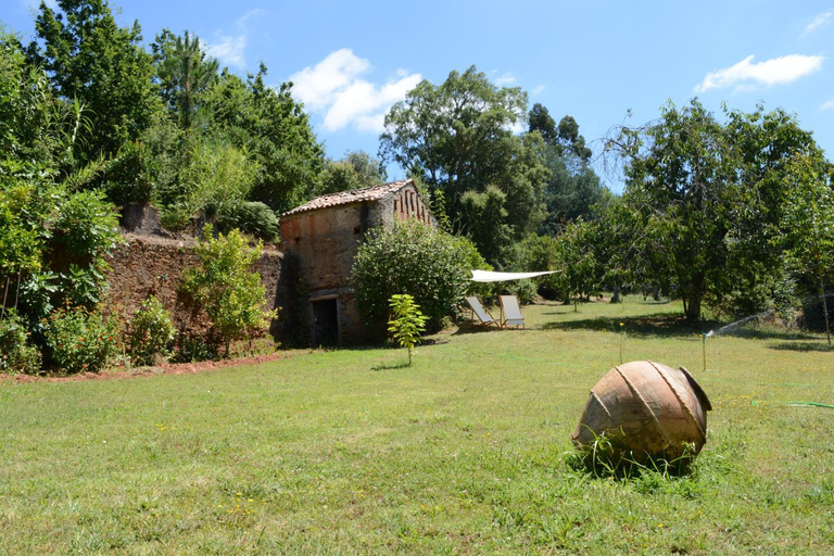 Others 3, Quinta da Granja Gardener's cottage, Miranda do Corvo