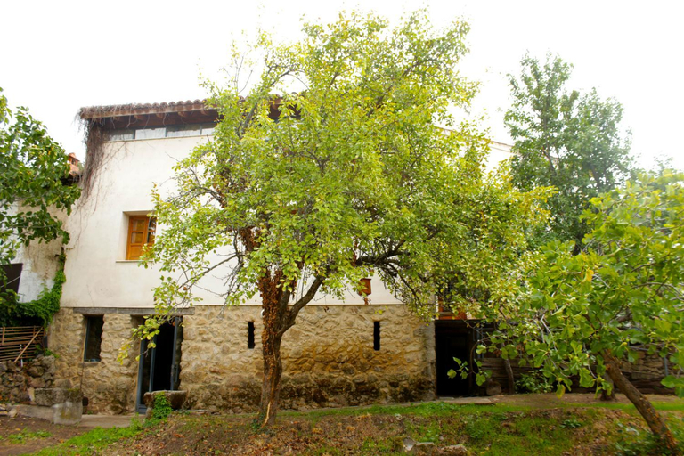 Others 2, Albergue Turistico Via de la Plata, Cáceres