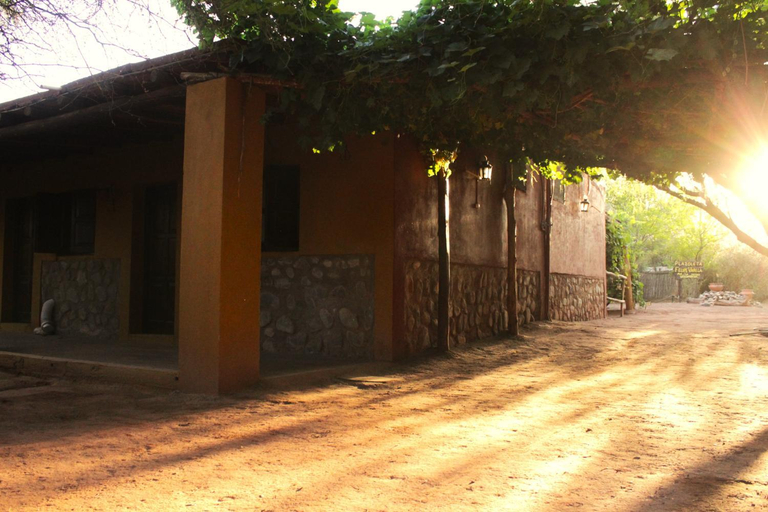 Others 5, Las Jarillas de Guandacol, Coronel Felipe Varela