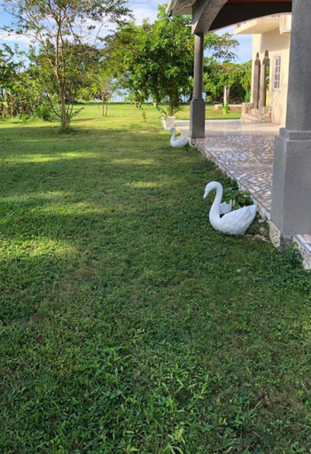 Others 3, Champagne Villa