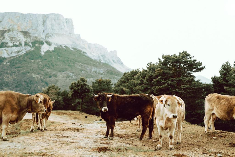 Others 5, Hotel de Montana Lamiana, Huesca