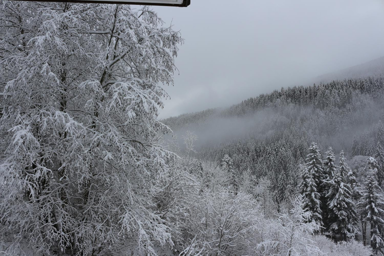 Others 5, Gasthof Arriach, Villach Land